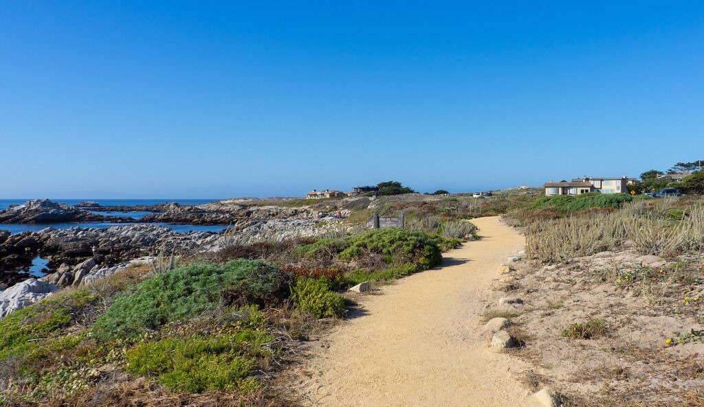 Photo of Others in Pacific Grove