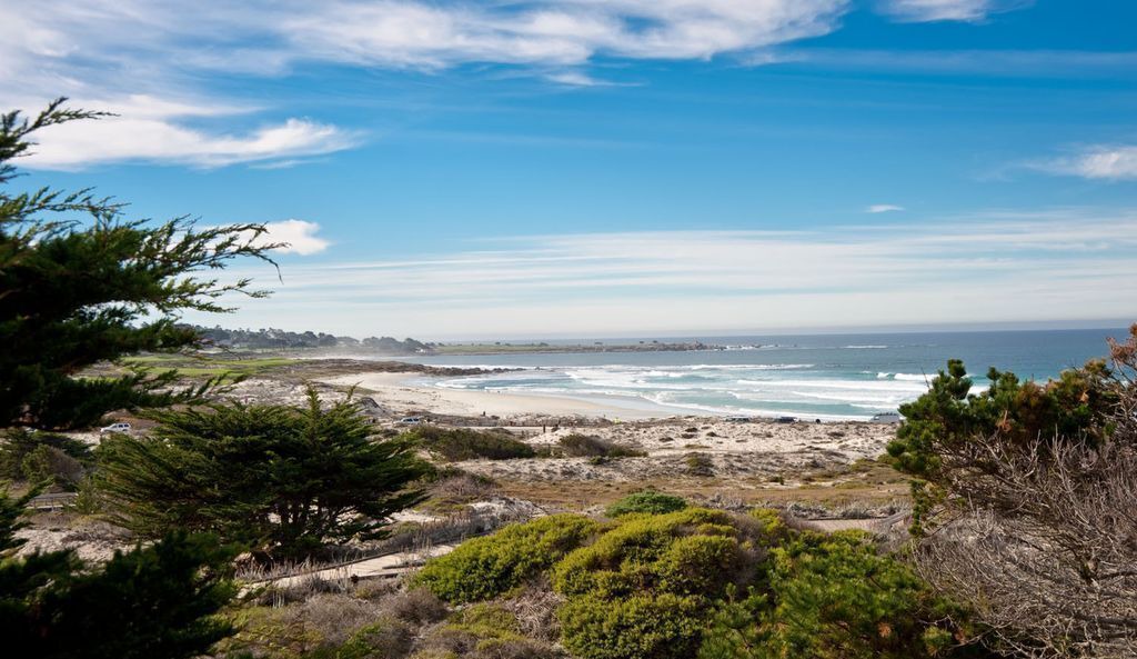 Photo of Others in Pacific Grove
