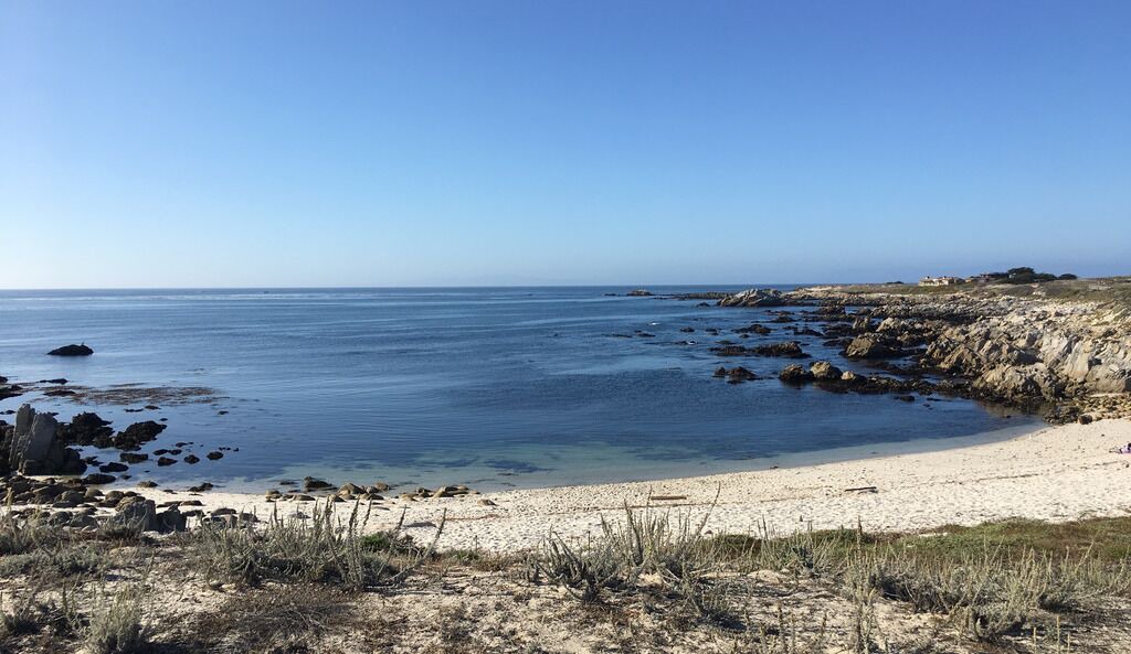 Photo of Others in Pacific Grove
