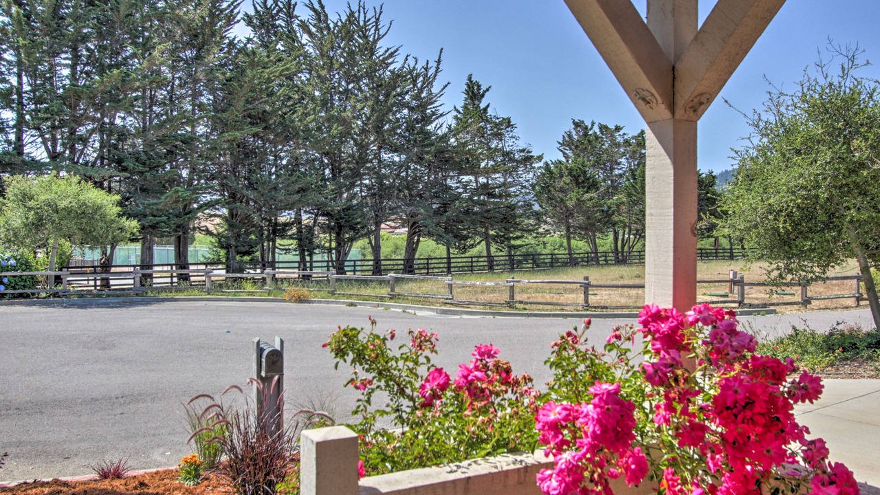 Photo of Outdoor in Point Reyes Station