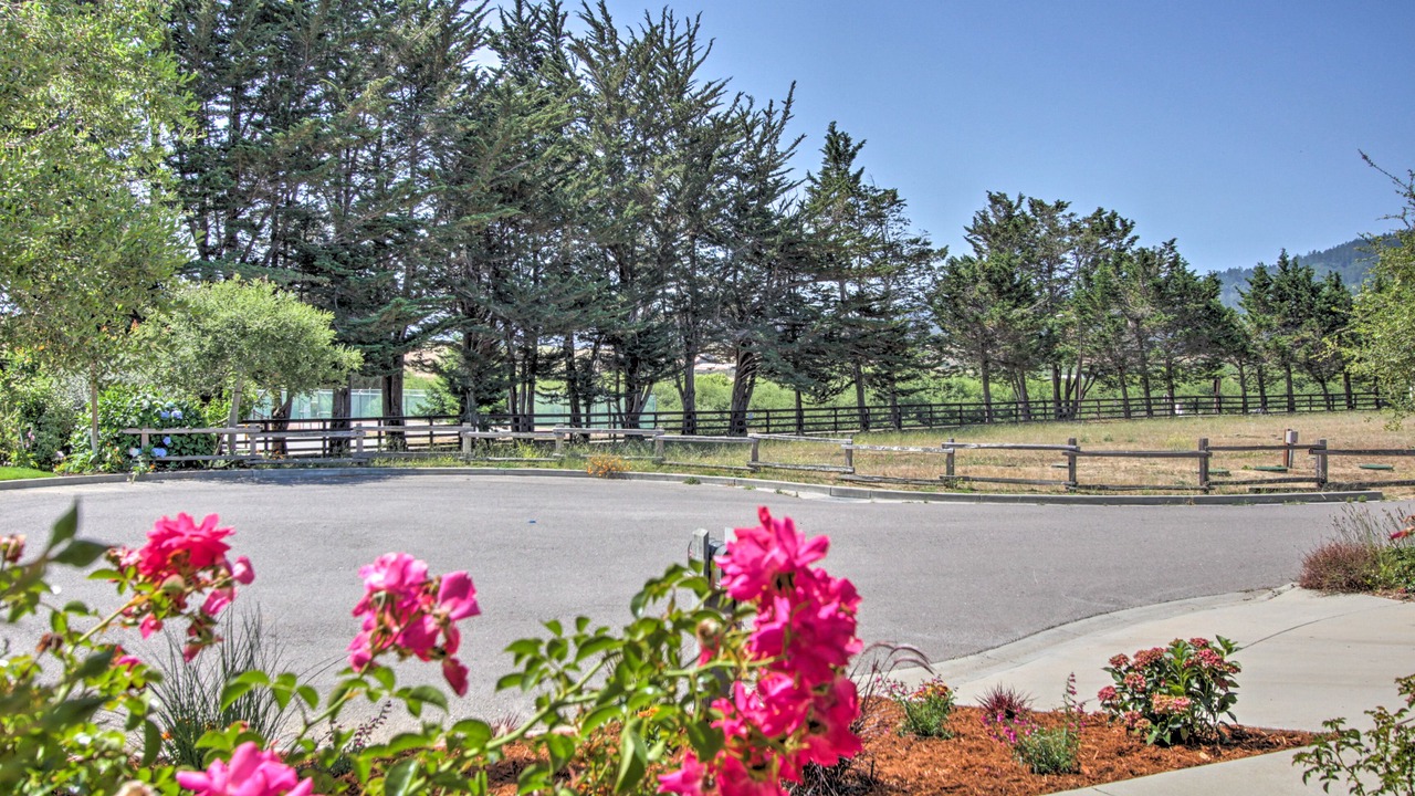 Photo of Outdoor in Point Reyes Station