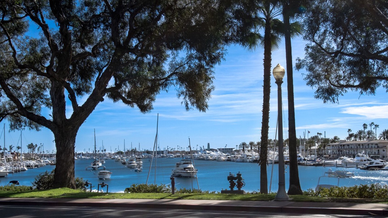 Photo of Others in Newport Beach
