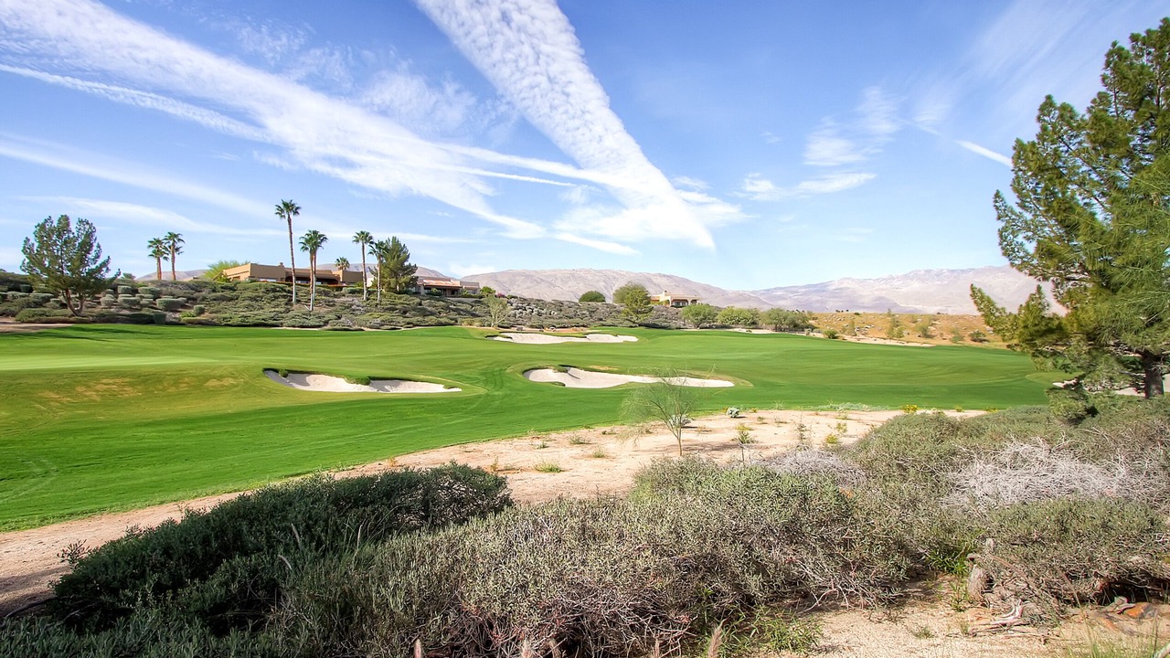 Photo of Others in Borrego Springs