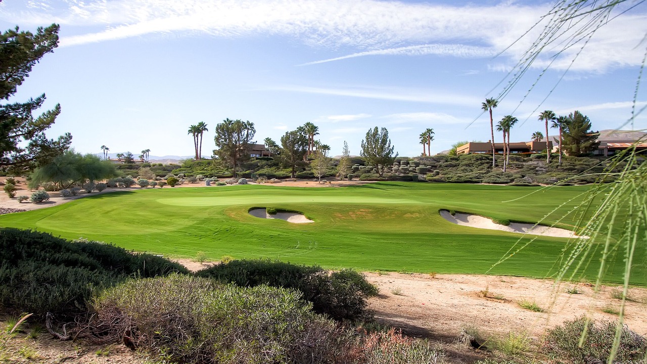 Photo of Outdoor in Borrego Springs