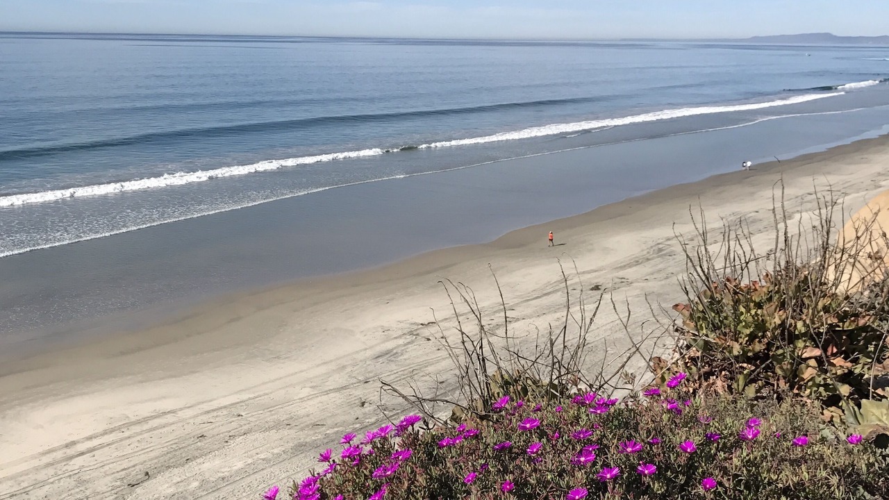 Photo of Others in Solana Beach