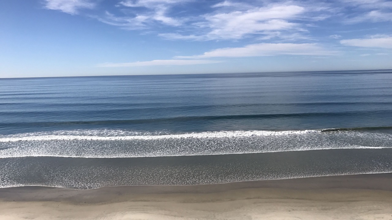 Photo of Others in Solana Beach