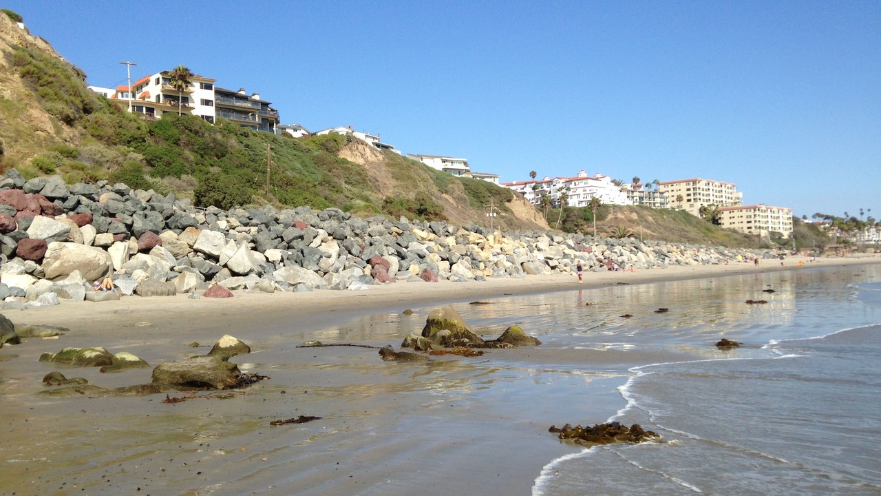 Photo of Others in San Clemente