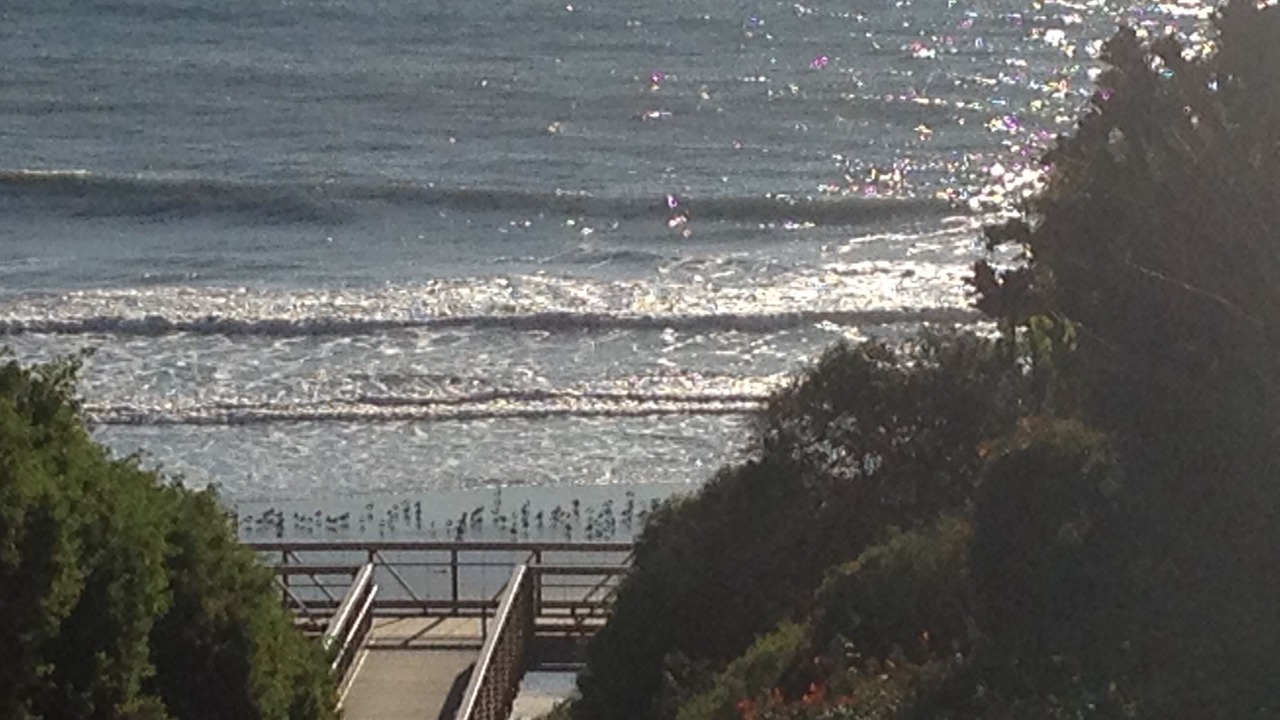 Photo of Others in San Clemente