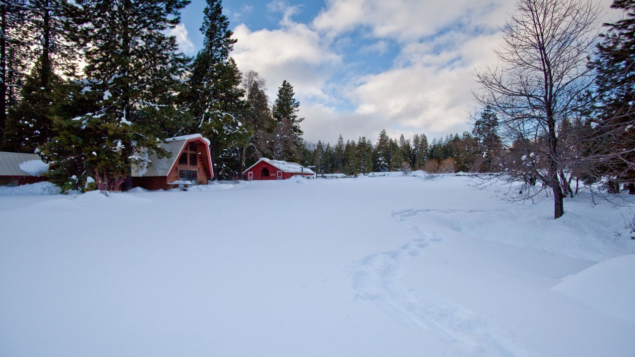 Photo of Others in Mount Shasta