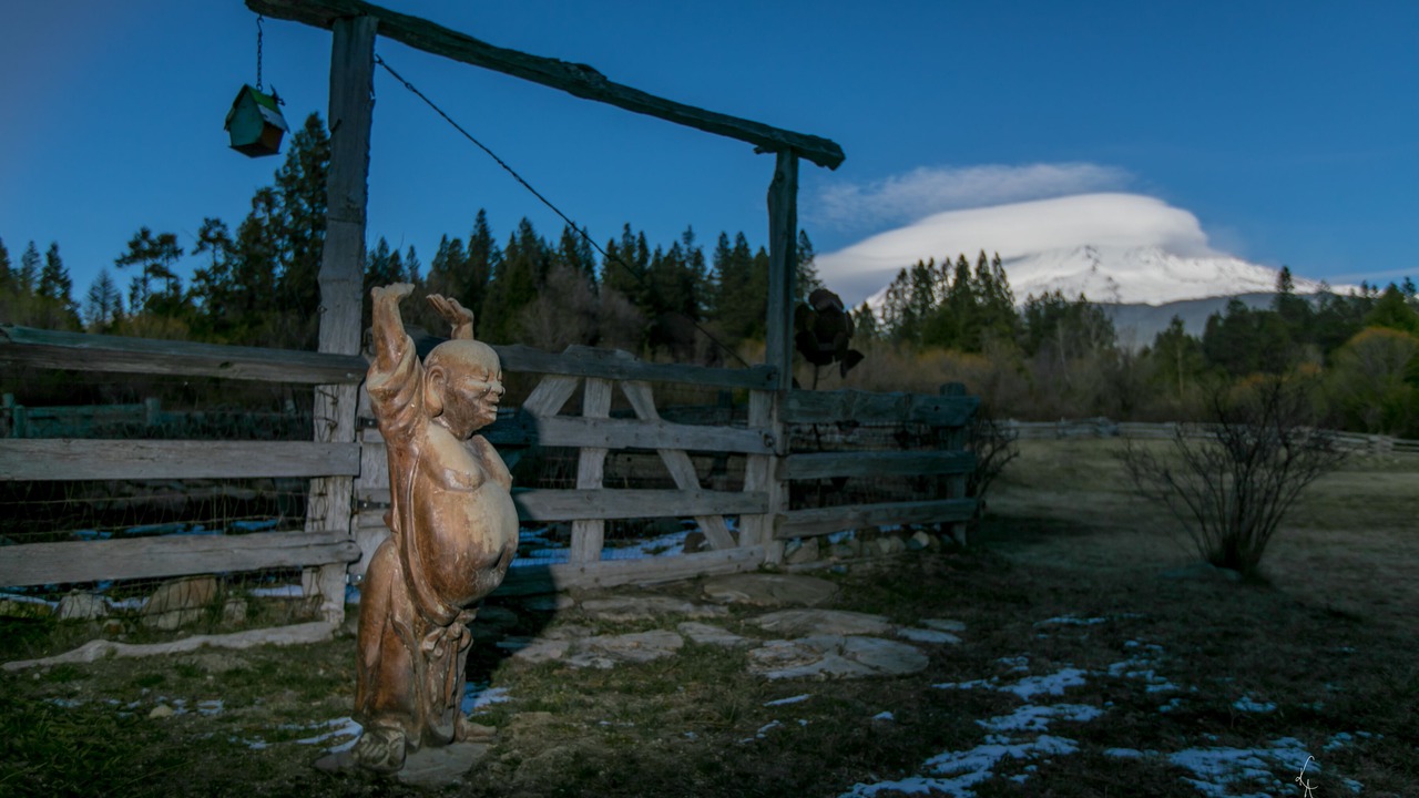 Photo of Others in Mount Shasta