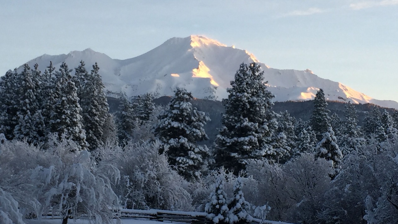 Photo of Others in Mount Shasta