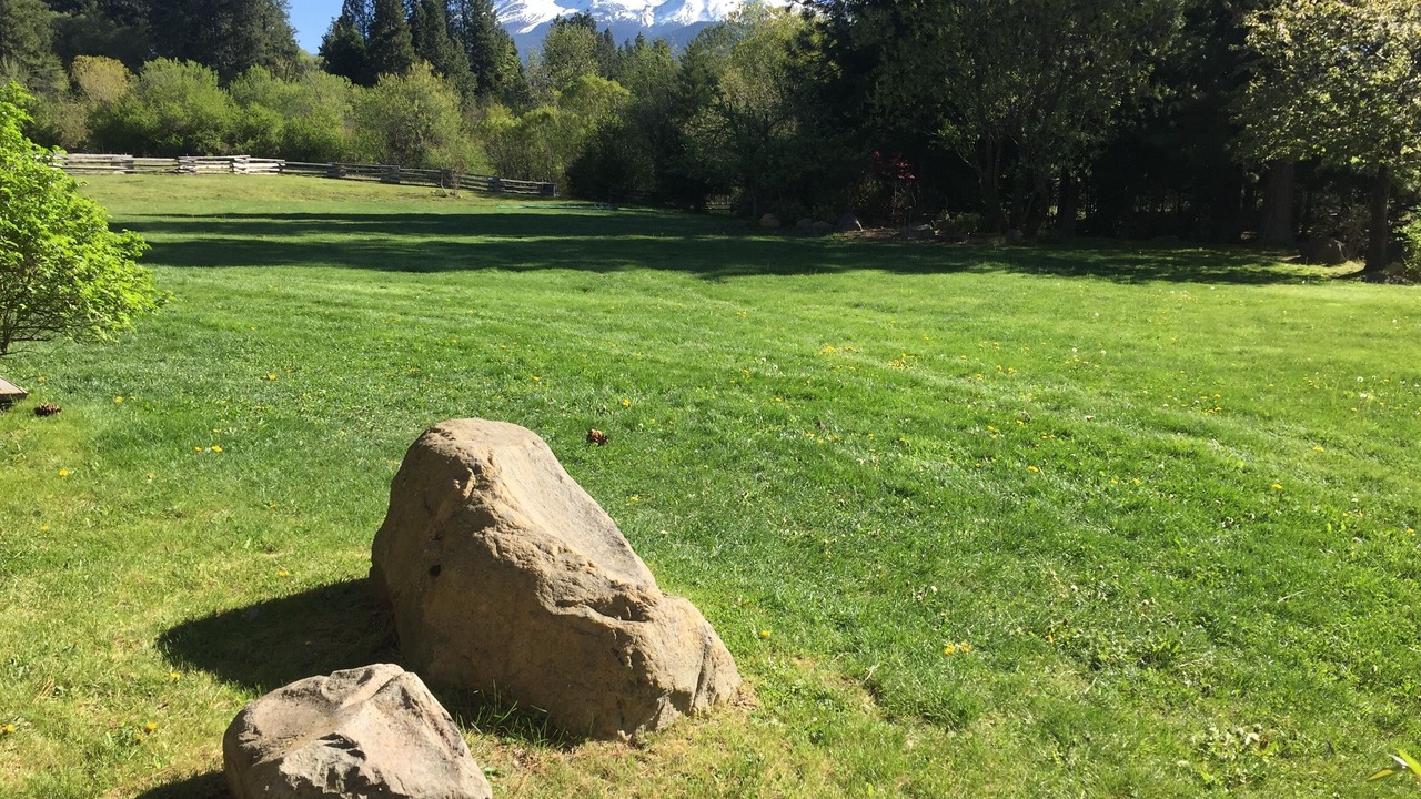 Photo of Others in Mount Shasta