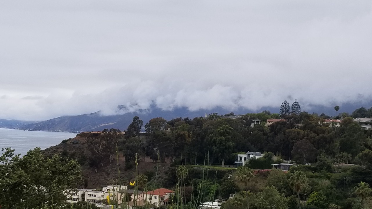 Photo of Others in Santa Monica Canyon