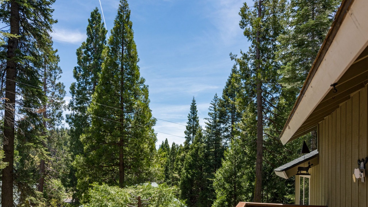 Photo of Outdoor in Fish Camp