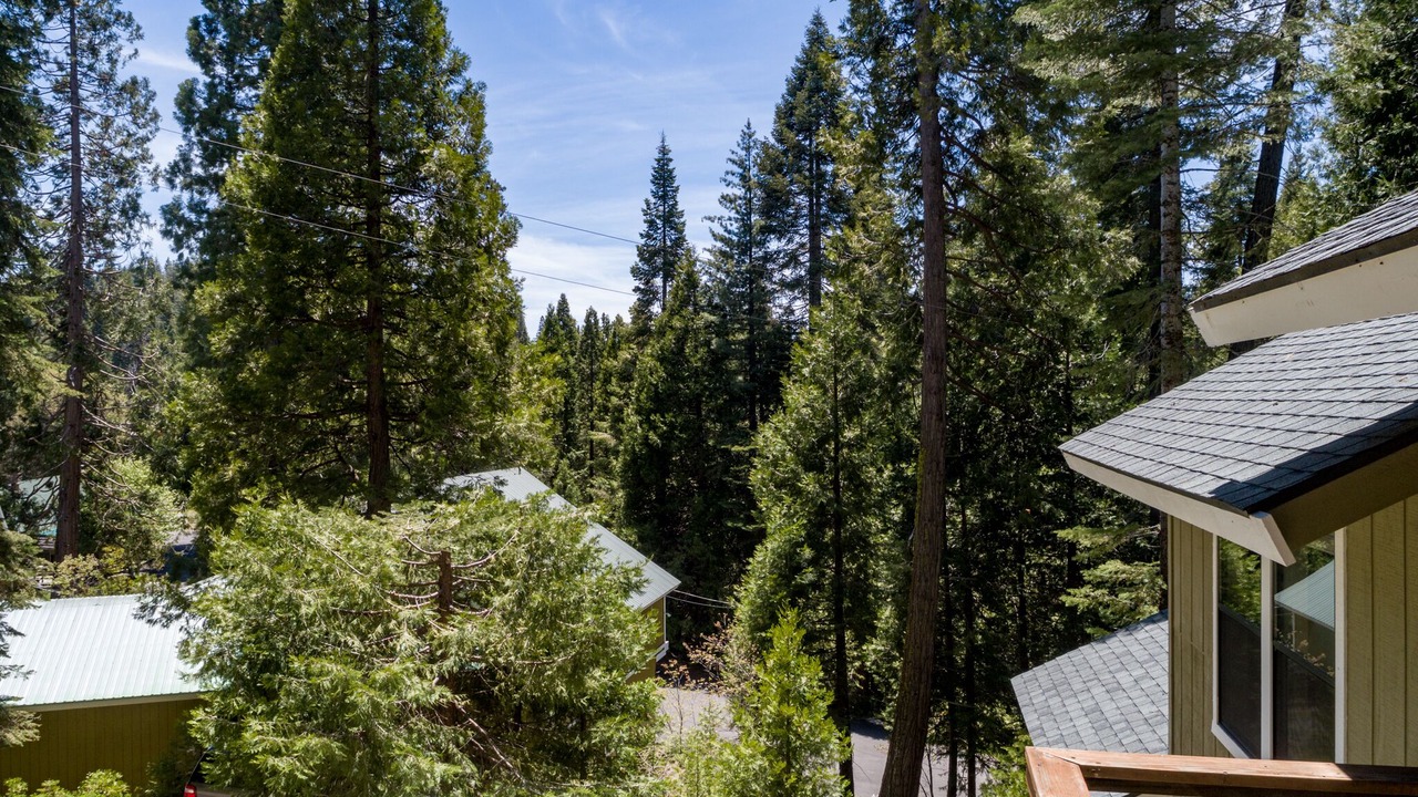 Photo of Outdoor in Fish Camp