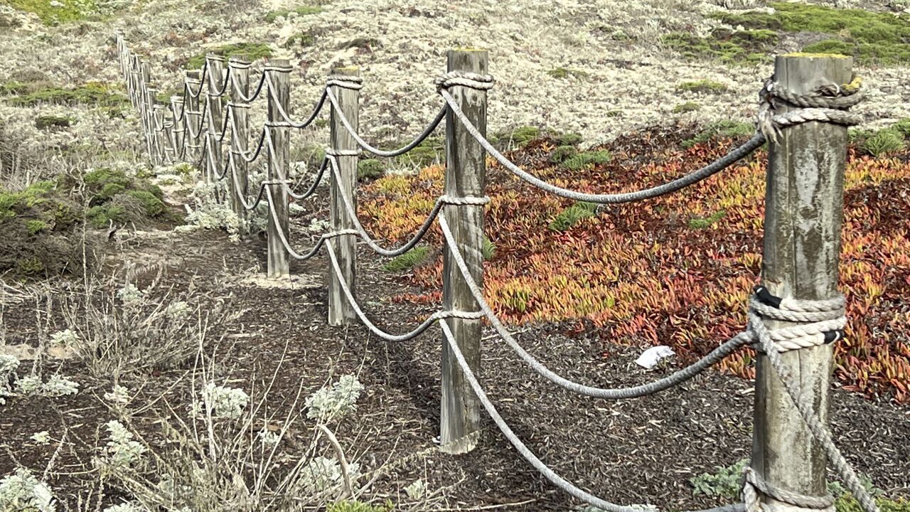 Photo of Outdoor in Castroville