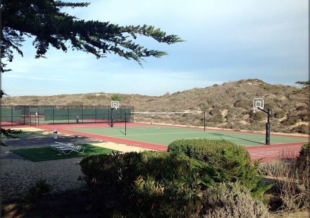 Photo of Others in Castroville