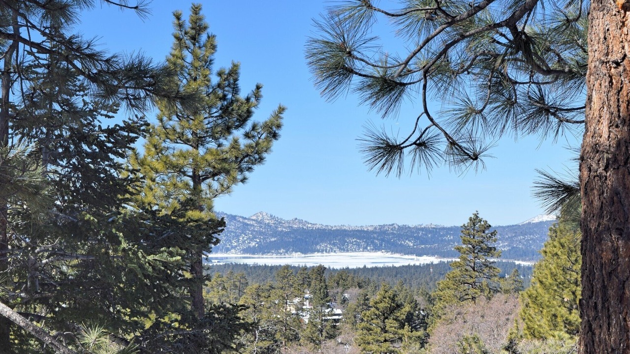 Photo of Others in Upper Moonridge