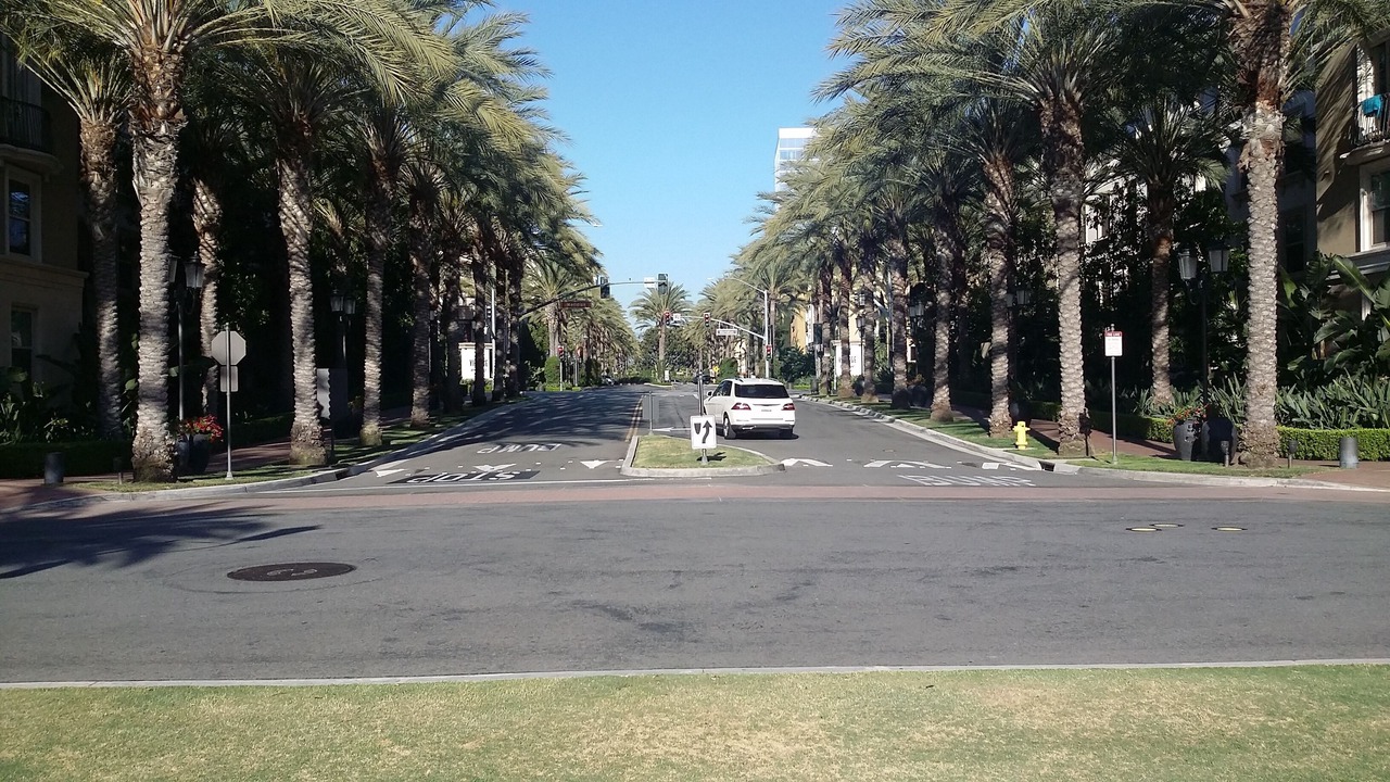 Photo of Others in Irvine