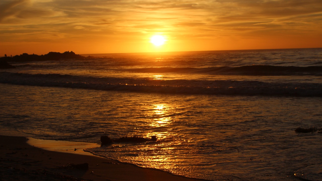 Photo of Others in Carmel Point