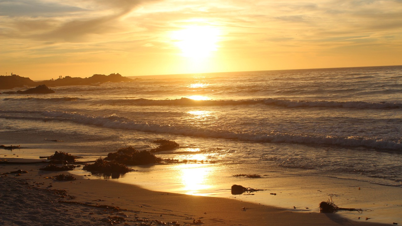 Photo of Others in Carmel Point