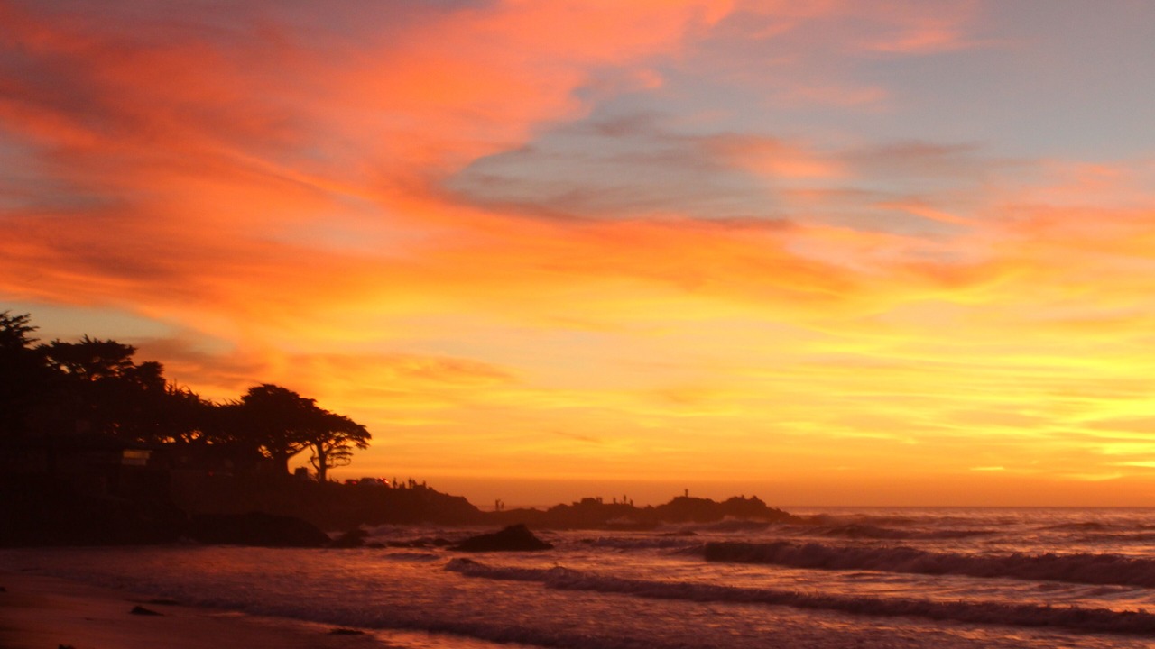 Photo of Others in Carmel Point