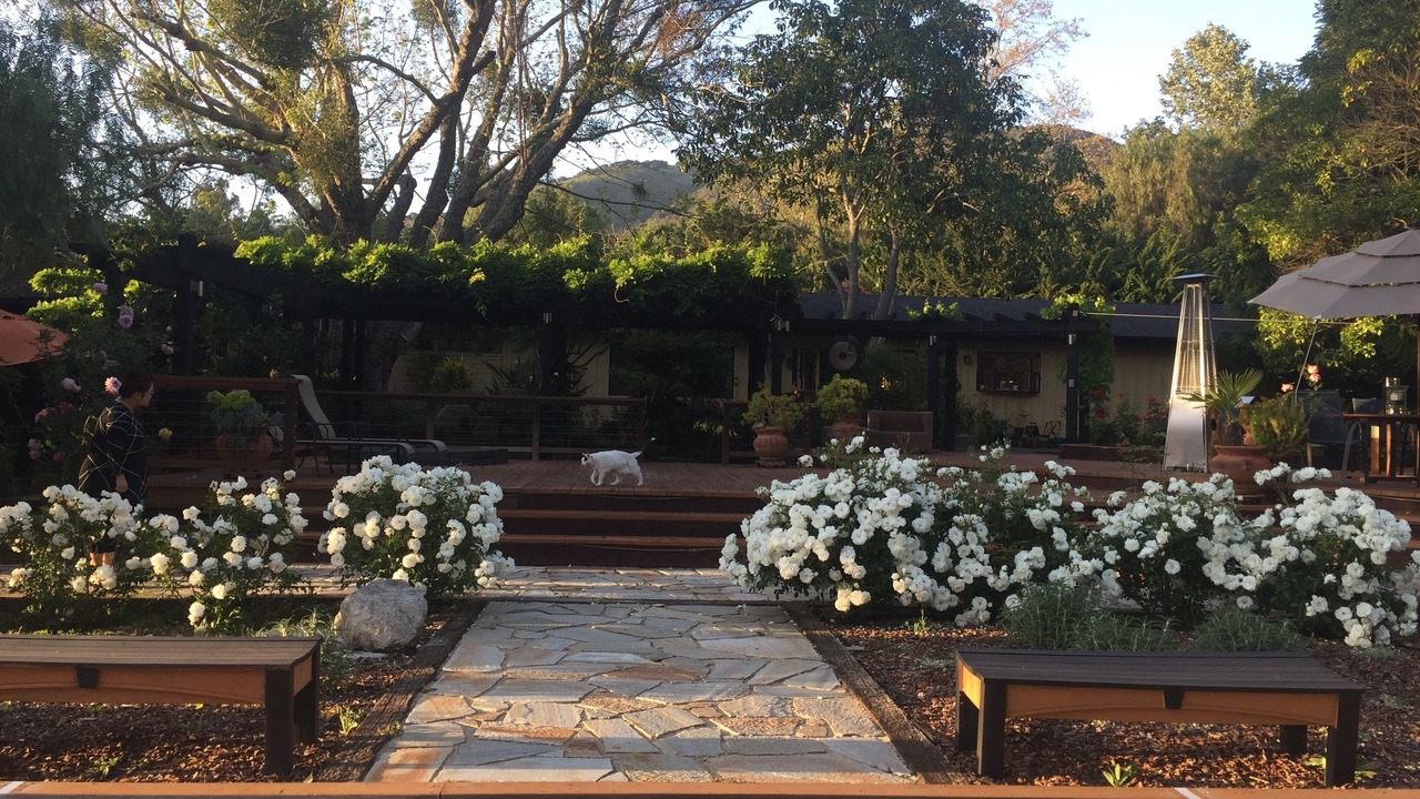 Photo of Outdoor in Carmel Valley