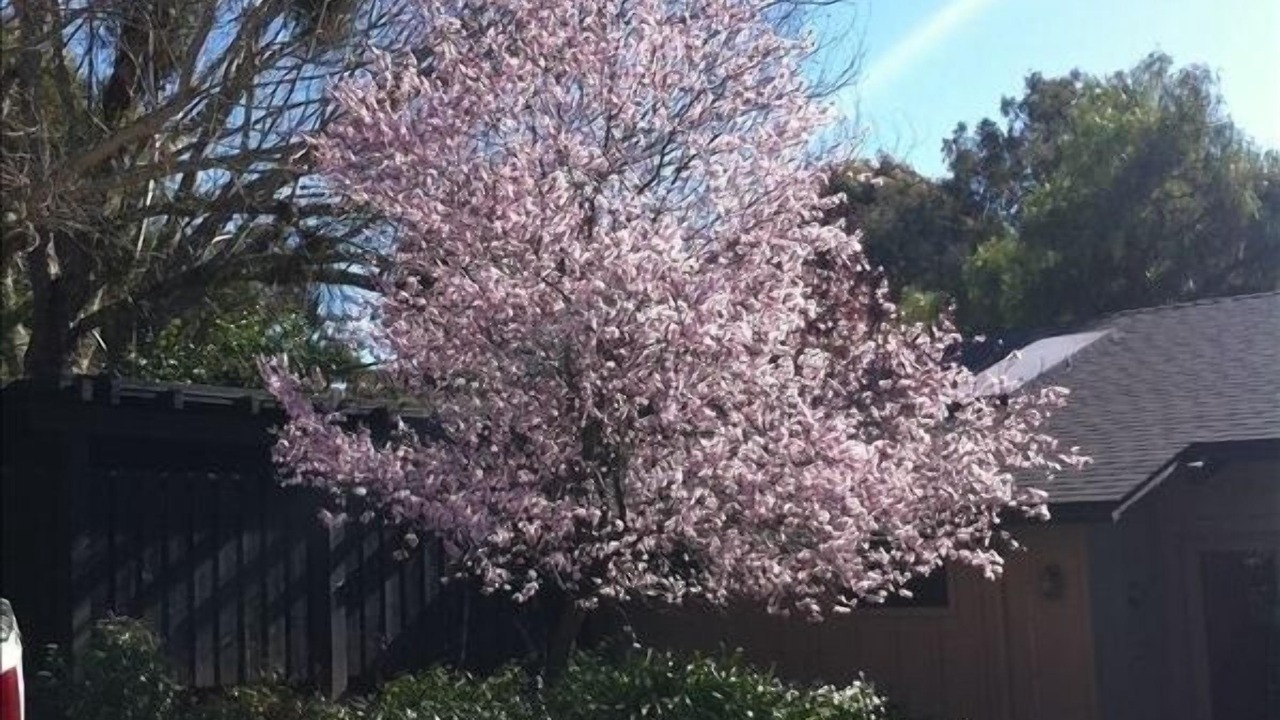 Photo of Others in Carmel Valley