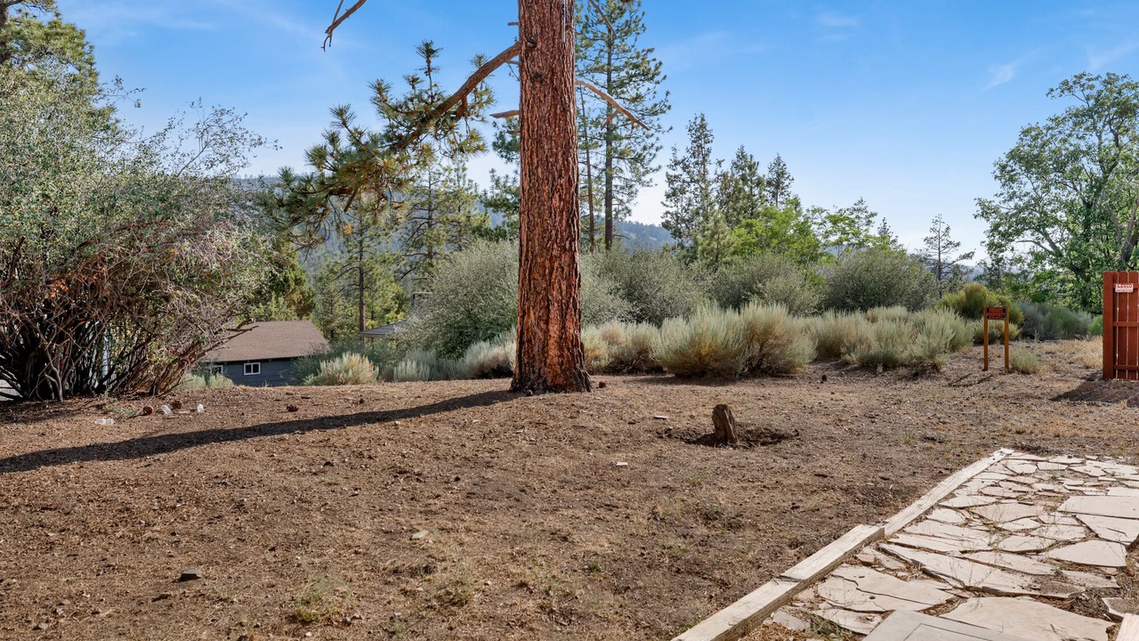 Photo of Outdoor in Fox Farm