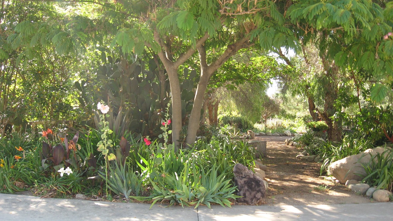 Photo of Outdoor in Santa Ynez