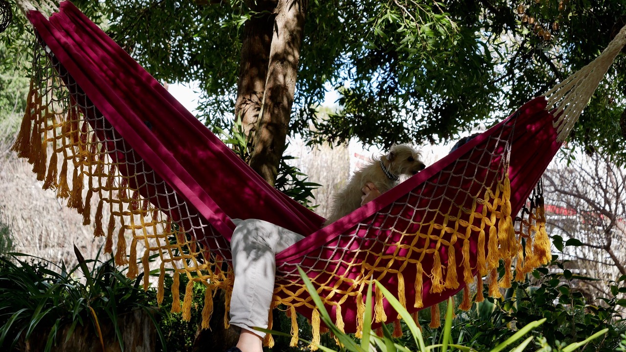 Photo of Outdoor in Santa Ynez