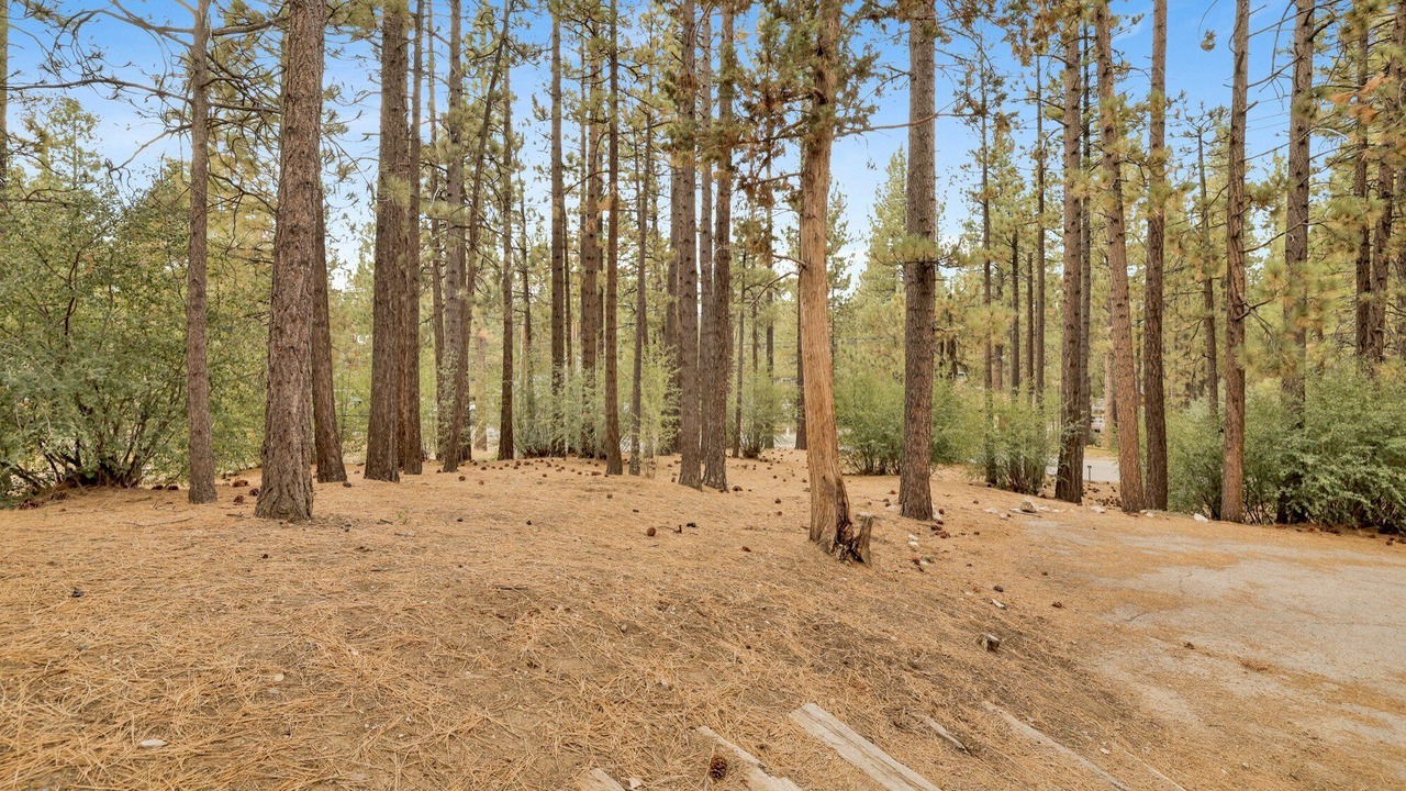 Photo of Others in Big Bear