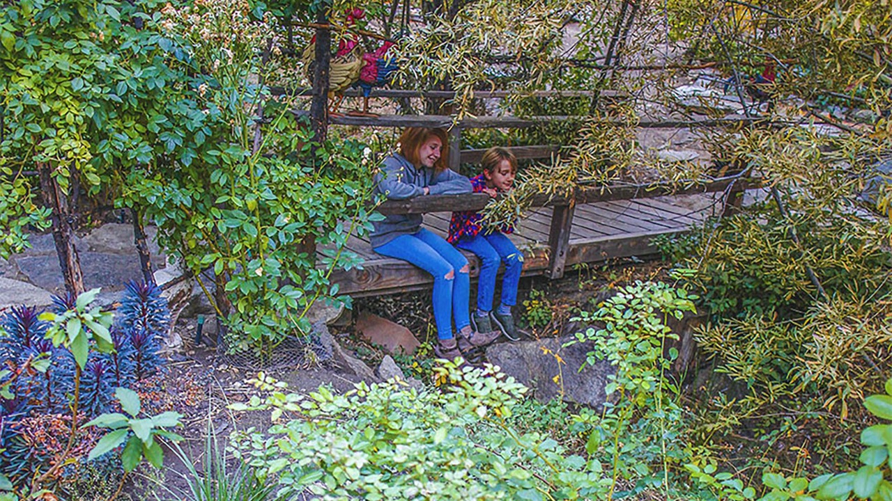 Photo of Others in Idyllwild