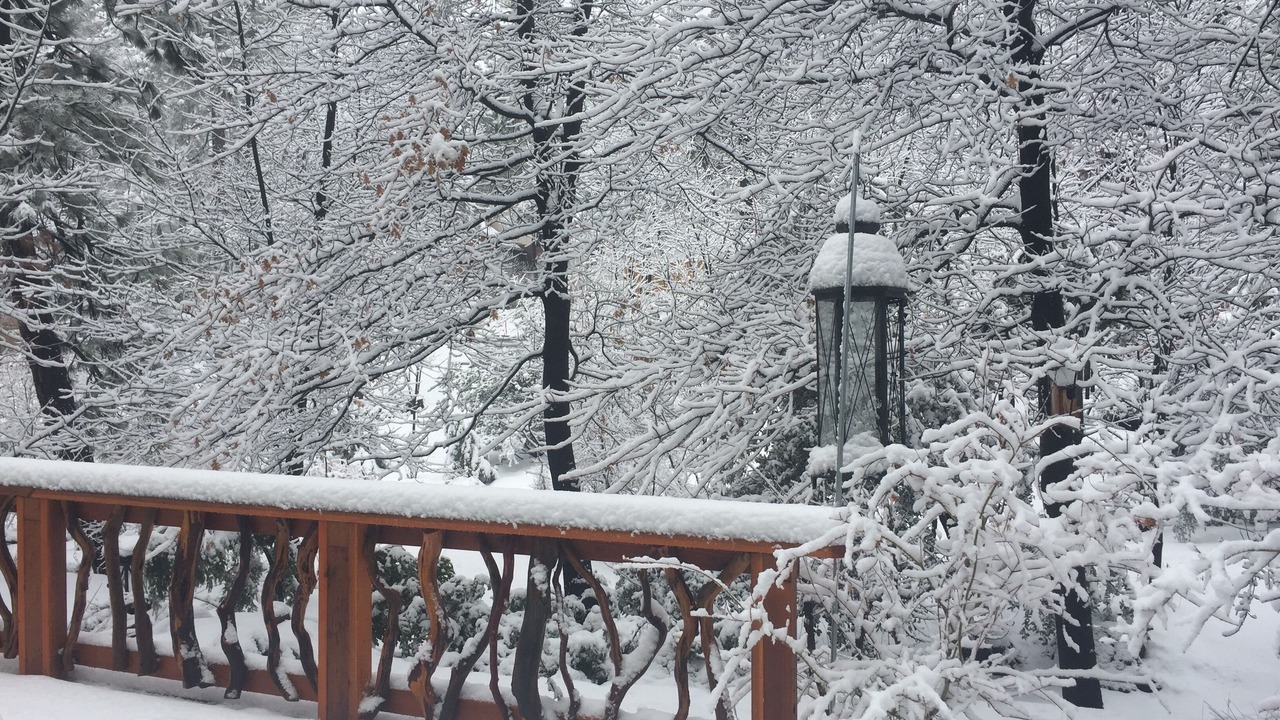 Photo of Others in Idyllwild