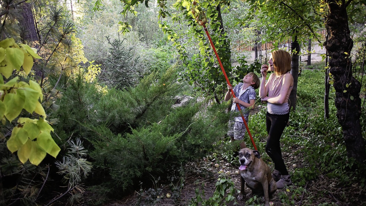 Photo of Others in Idyllwild