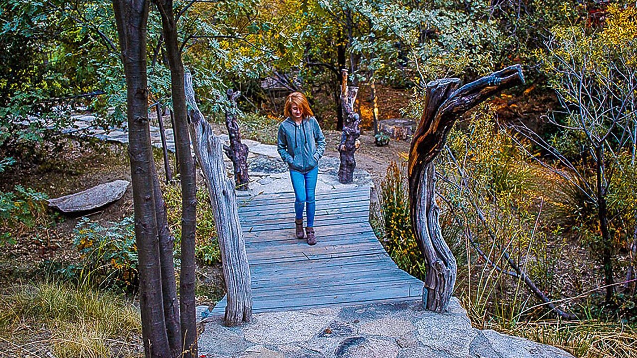 Photo of Others in Idyllwild