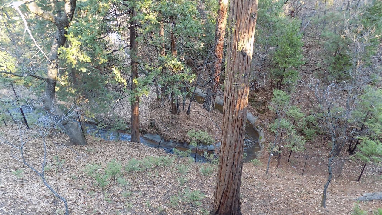 Photo of Others in Phoenix Lake-Cedar Ridge
