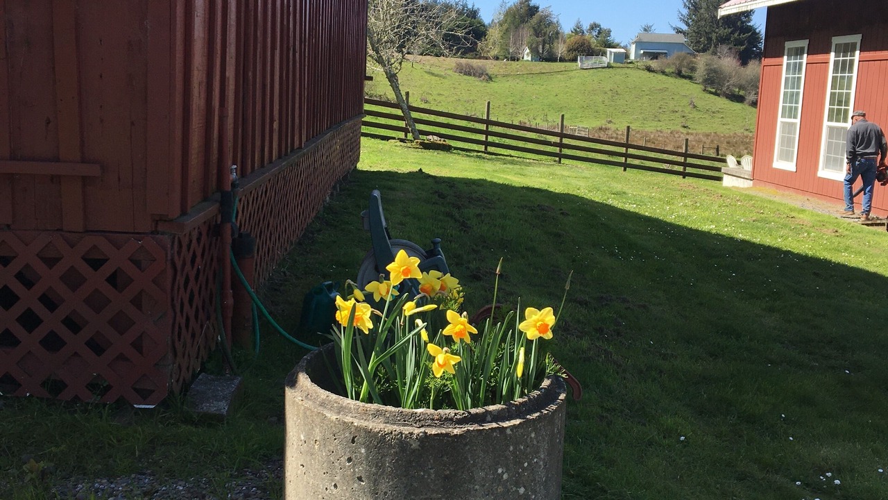 Photo of Outdoor in Ferndale