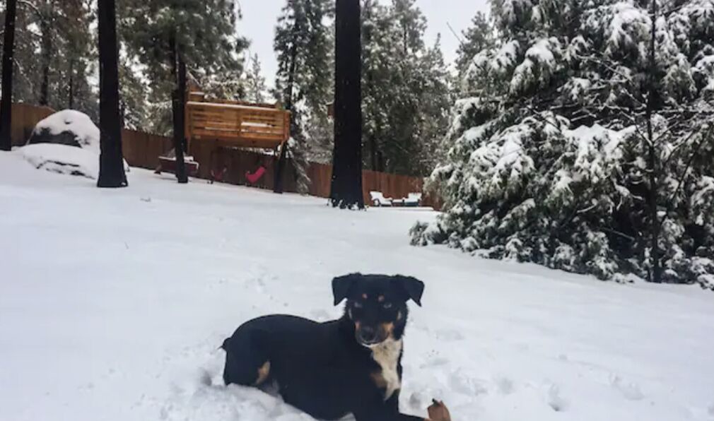 Photo of Outdoor in Idyllwild