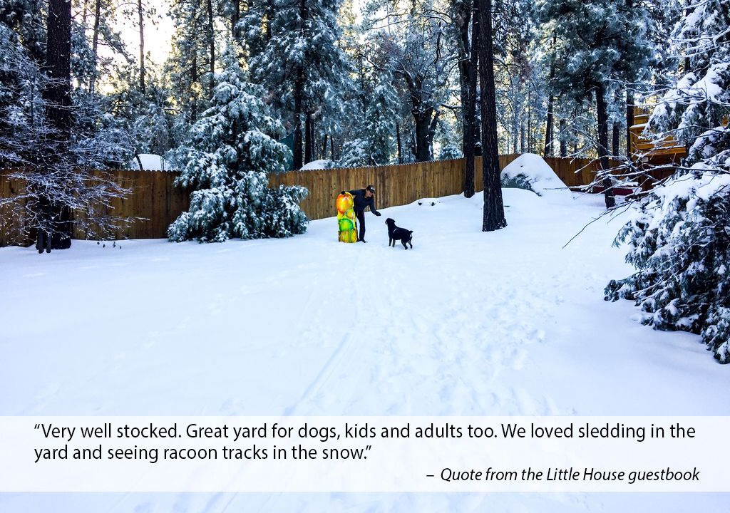Photo of Others in Idyllwild