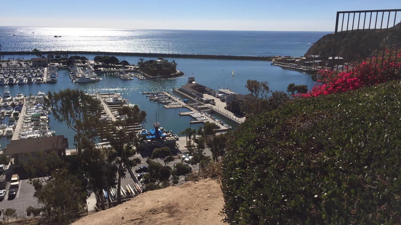 Photo of Others in Dana Point