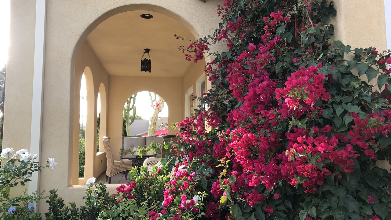 Photo of Outdoor in Mission Hills