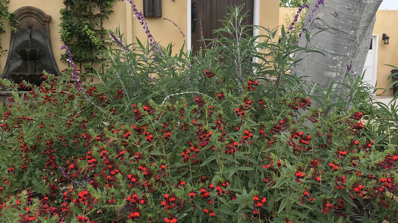 Photo of Outdoor in Mission Hills