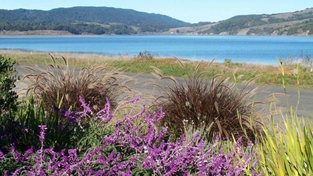 Photo of Others in Stinson Beach