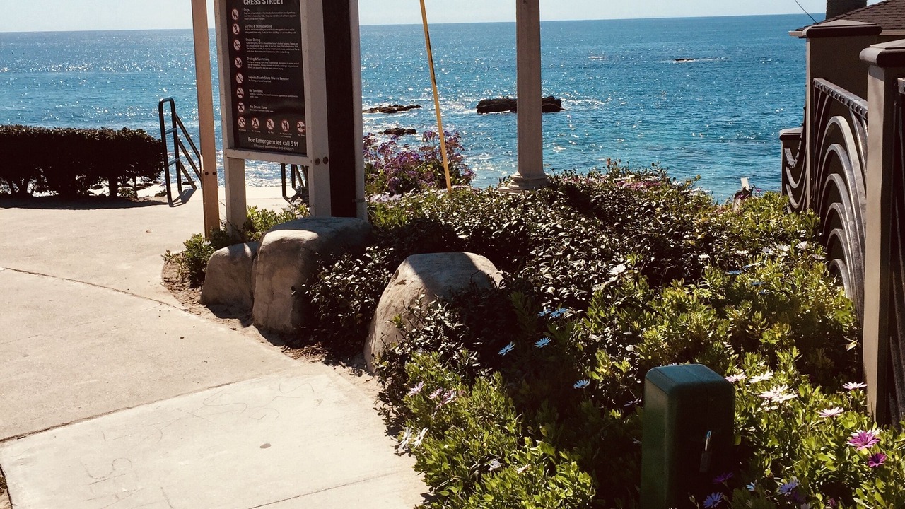 Photo of Others in Laguna Beach