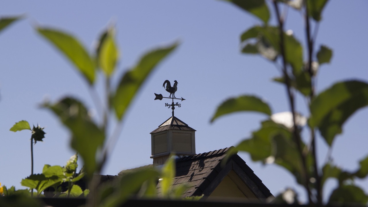 Photo of Outdoor in North Auburn