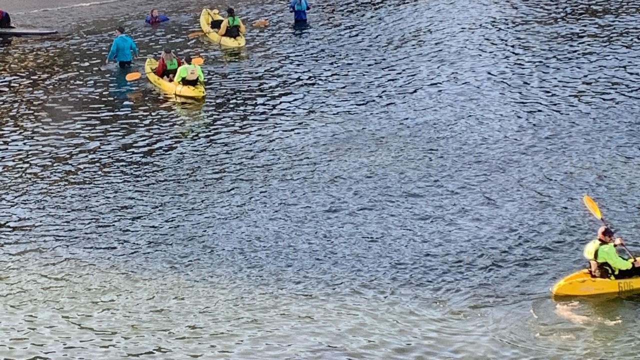Photo of Others in Mescal Corridor NW
