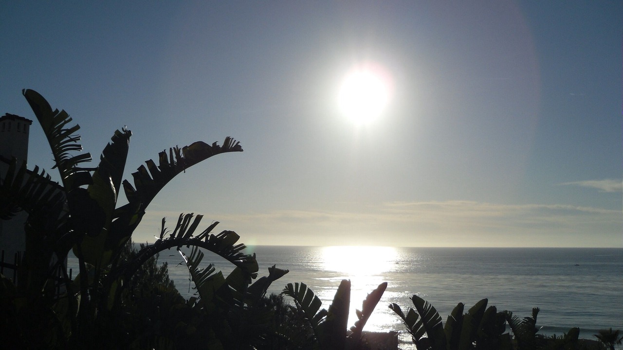 Photo of Others in Dana Point