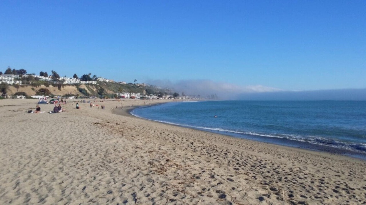 Photo of Others in Dana Point