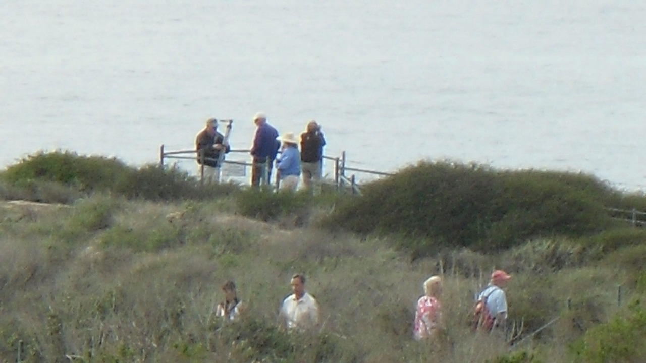 Photo of Others in Dana Point